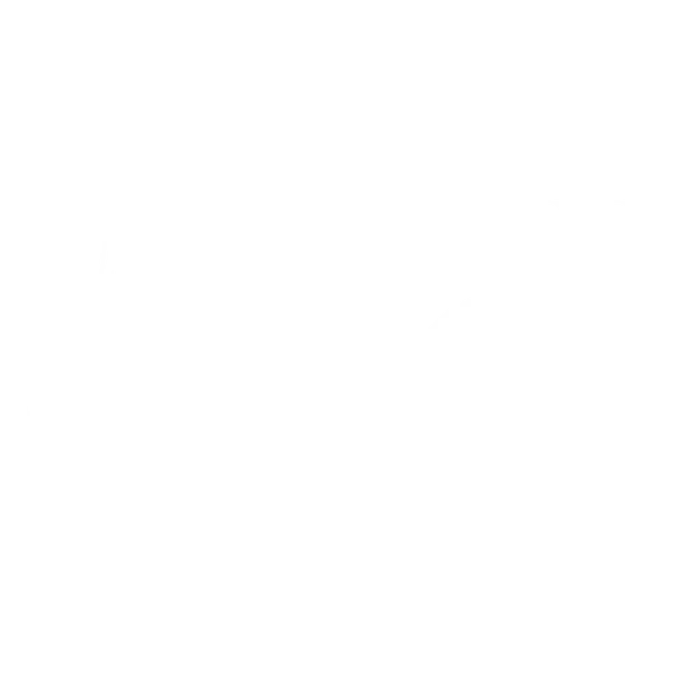 ASDL - WHITE (without background).png